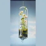 Single Stem Grace