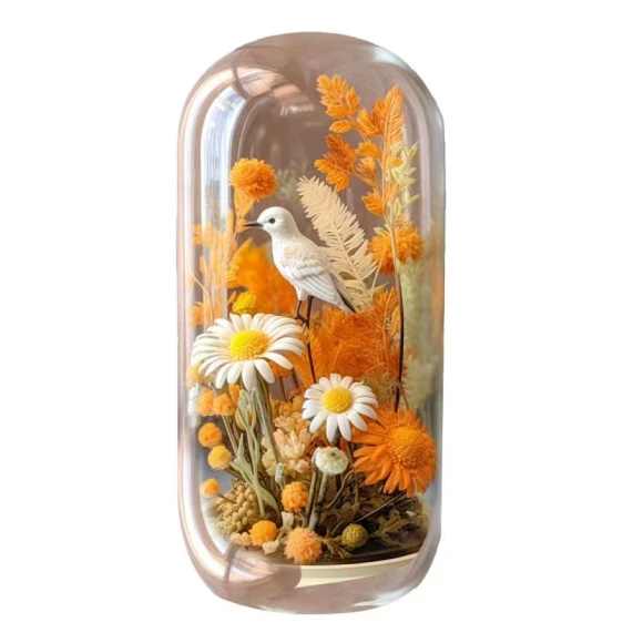 Cylindrical Earth Display