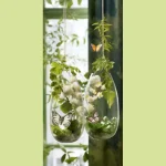 Slender White Blossom Display