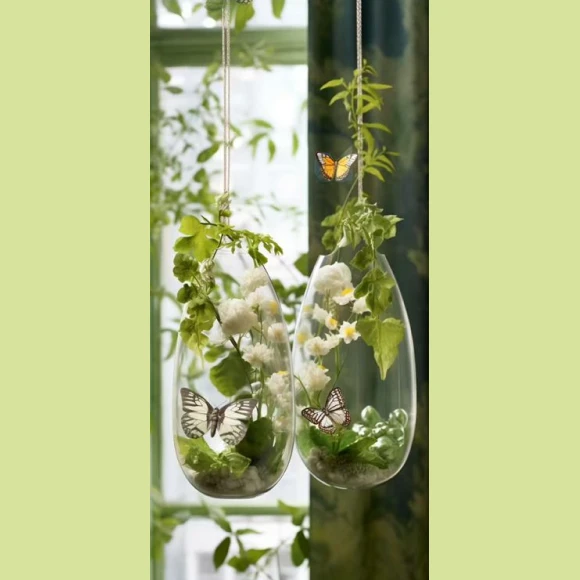 Slender White Blossom Display