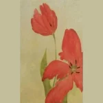 Crimson Grace